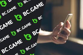 Exploring the Exciting Bonus Offers at BC.Game